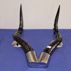 Hartebeest Horn Stand