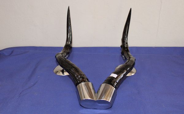 Hartebeest Horn Stand