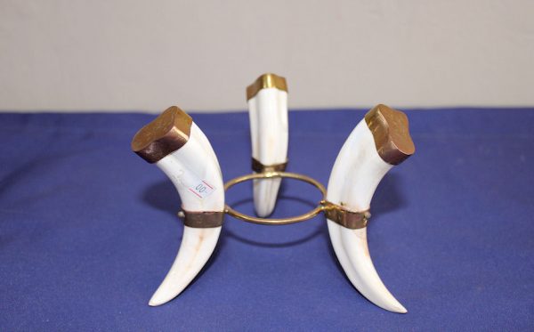 Warthog Tusk Stand (Large Stand )