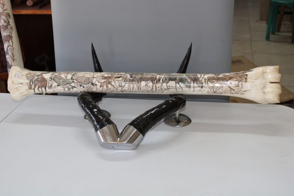 Giraffe Bone (Bone Only) (Only sold in South Africa)