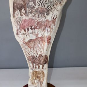 Kudu Shoulder Blades Bone