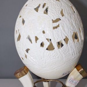 Ostrich Egg (Egg Only)