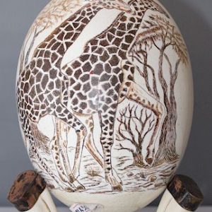 Half-Scrimshaw Ostrich Egg (Egg Only)