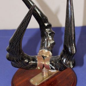 Red Hartebeest Horn Stand (Ostrich Eggs)
