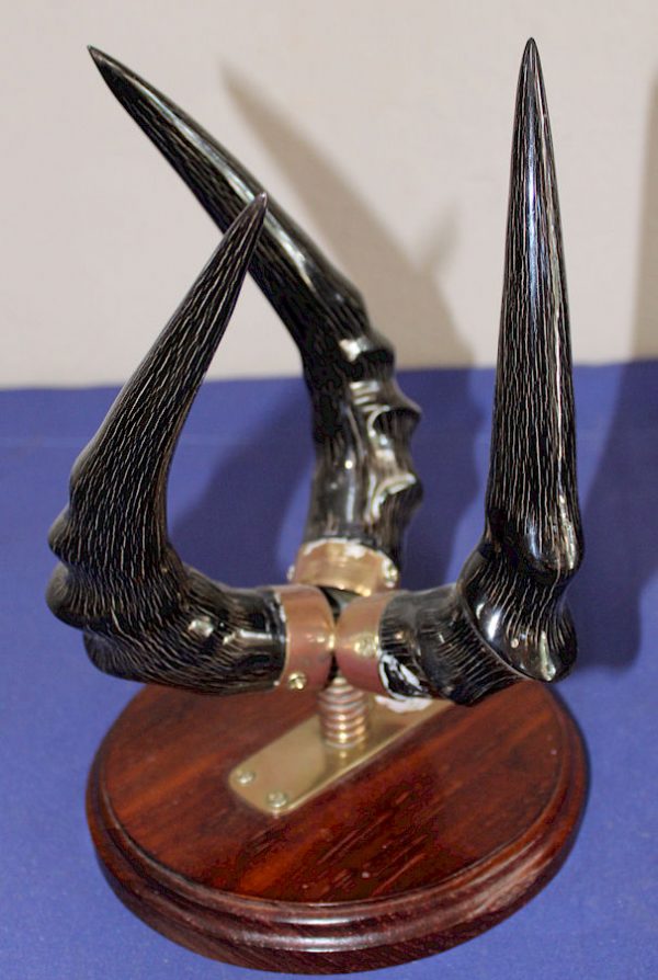 Red Hartebeest Horn Stand (Ostrich Eggs)