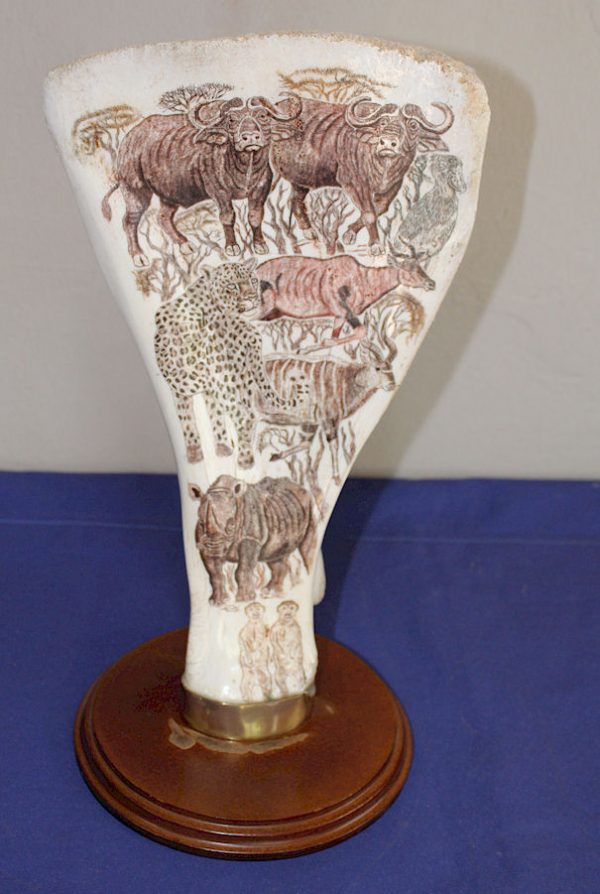 Kudu Bone Shoulder Blade Scrimshaw