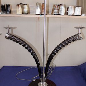 Double Water Buck Horn Light and Candle Holder
