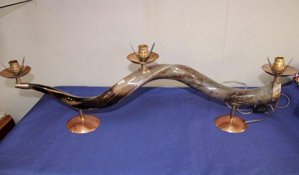 Horizontal Kudu Horn Lamp