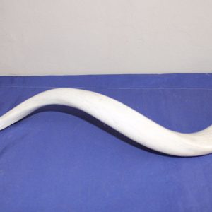 Kudu Bone Table Ornament (Each)