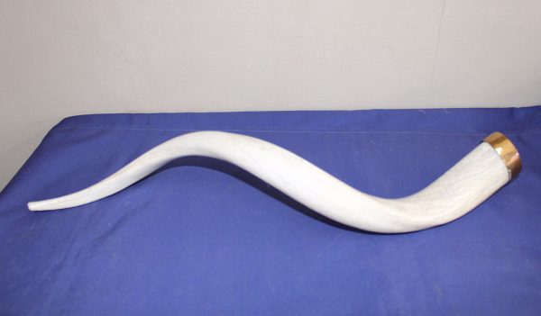 Kudu Bone Table Ornament (Each)
