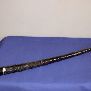 Gemsbok Horn Walking Stick
