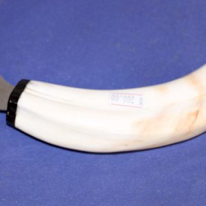 Warthog Tusk Bottle Opener