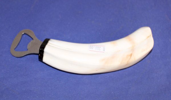 Warthog Tusk Bottle Opener