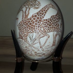 Full-Round Scrimshaw Ostrich Egg (Egg Only)